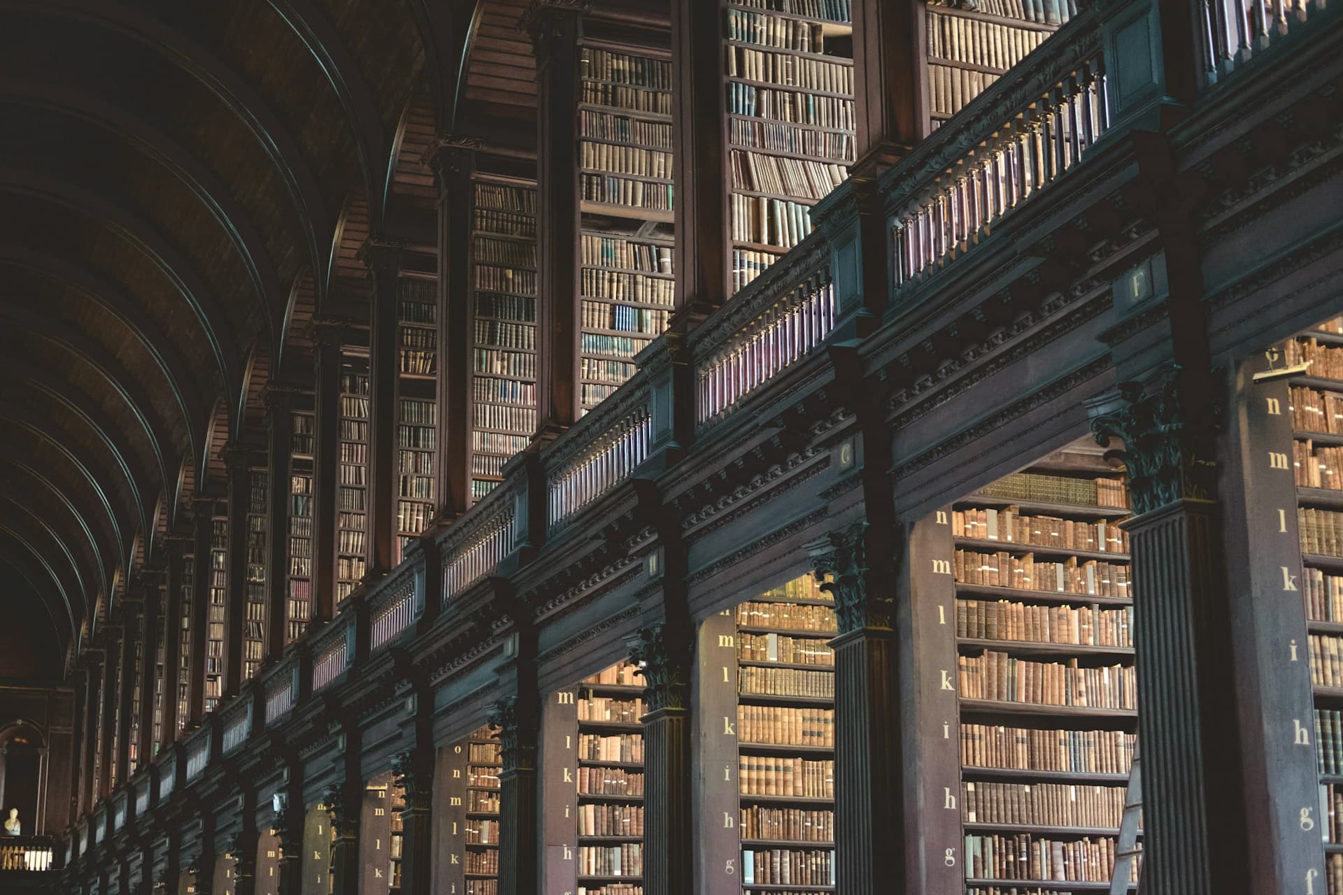 Books in a library